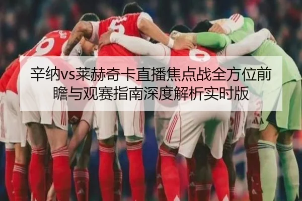 辛纳vs莱赫奇卡直播焦点战全方位前瞻与观赛指南深度解析实时版