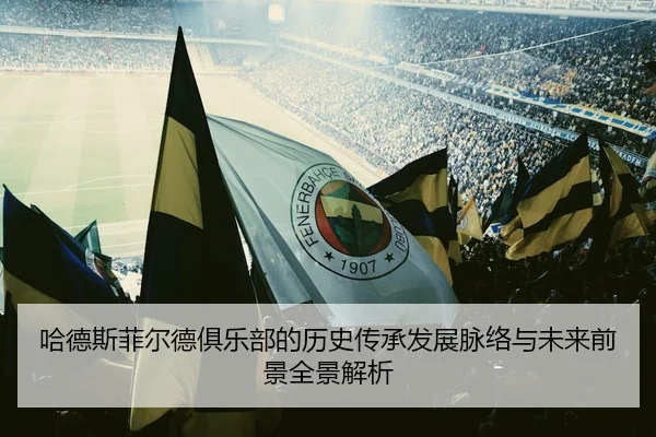 ha-de-si-fei-er-de-ju-le-bu-de-li-shi-chuan-cheng-fa-zhan-mai-luo-yu-wei-lai-qian-jing-quan-jing-jie-xi-2-420.jpg