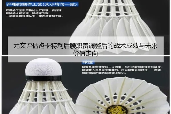 尤文评估洛卡特利后腰职责调整后的战术成效与未来价值走向
